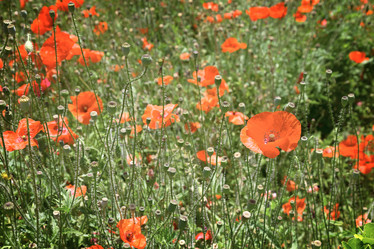 Similar image 10900627