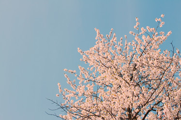 Similar image 10900628