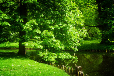 Similar image 10900630