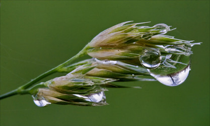 Similar image 10896001