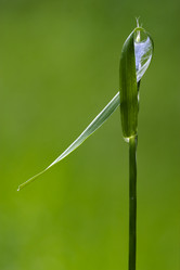 Similar image 10896541