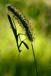 Similar image 10896544