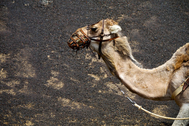 Similar image 10896546