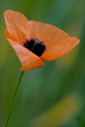 Similar image 10896560