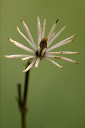 Similar image 10896570