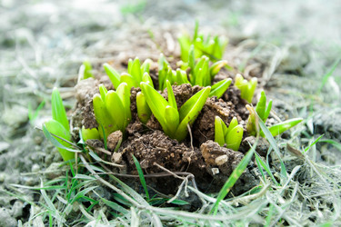 Similar image 10895680