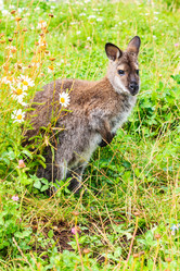 Similar image 10895644