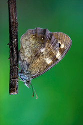 Similar image 10896604