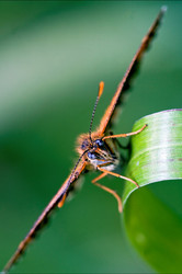 Similar image 10905264