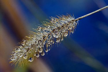 Similar image 10905286