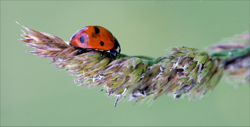 Similar image 10905292