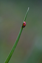 Similar image 10905293