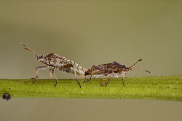Similar image 10904590