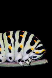 Similar image 10904595