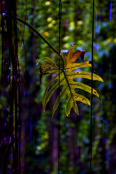 Similar image 10904596