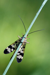 Similar image 10904598