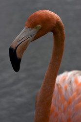 Similar image 10904609