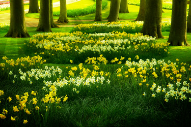 Similar image 10900636