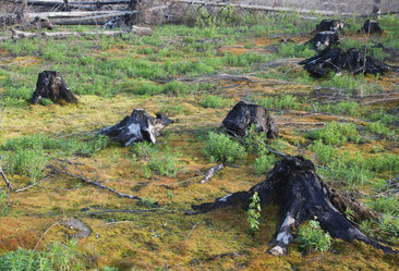 Similar image 10896322