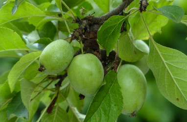 Similar image 10895685