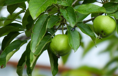 Similar image 10895687