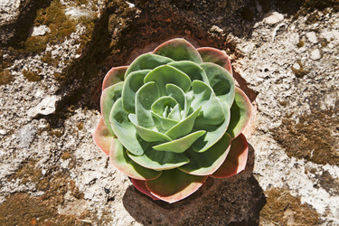 Similar image 10896303