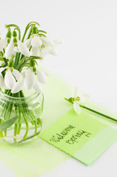 Similar image 10895822