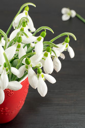 Similar image 10895827