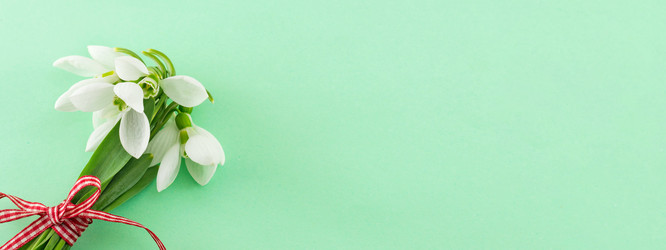 Similar image 10895829