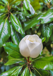 Similar image 10895665