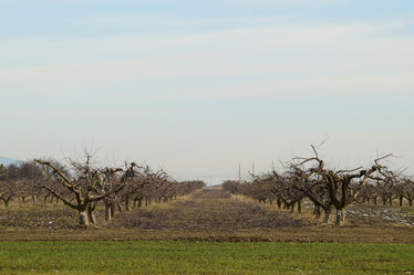 Similar image 10906163