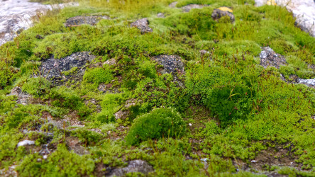 Similar image 10897101