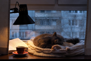 Similar image 10895871