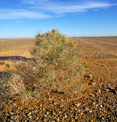 Similar image 10904550