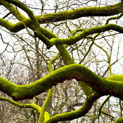 Similar image 10904580