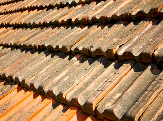 Similar image 10897233