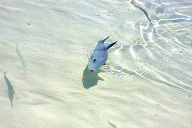 Similar image 10897250