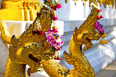 Similar image 10897253