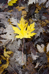 Similar image 10896548