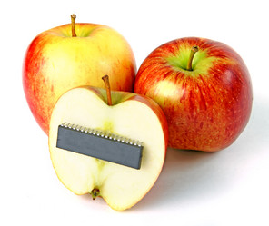 Similar image 10897782