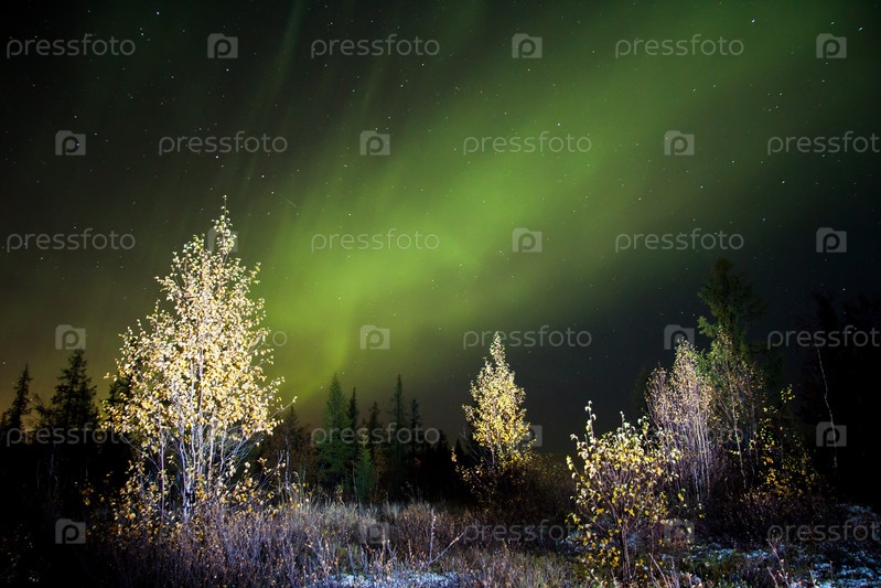 Фотография на тему Северное сияние | PressFoto