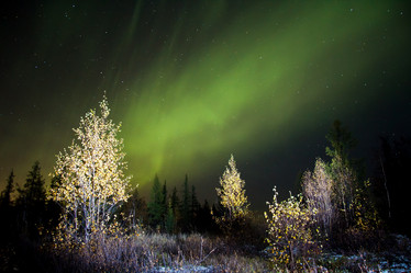 Similar image 10897272