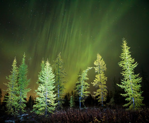 Similar image 10897274