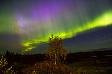 Similar image 10897294