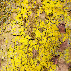 Similar image 10897241