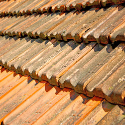 Similar image 10897226