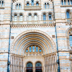 Similar image 10904667