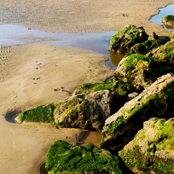 Similar image 10904669