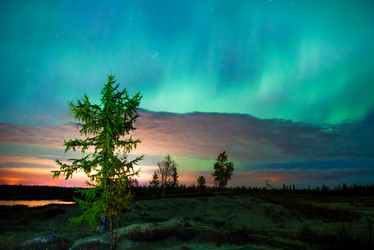 Similar image 10897794