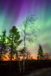 Similar image 10897808